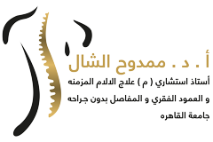 Prof. Dr. Mamdouh El Shal